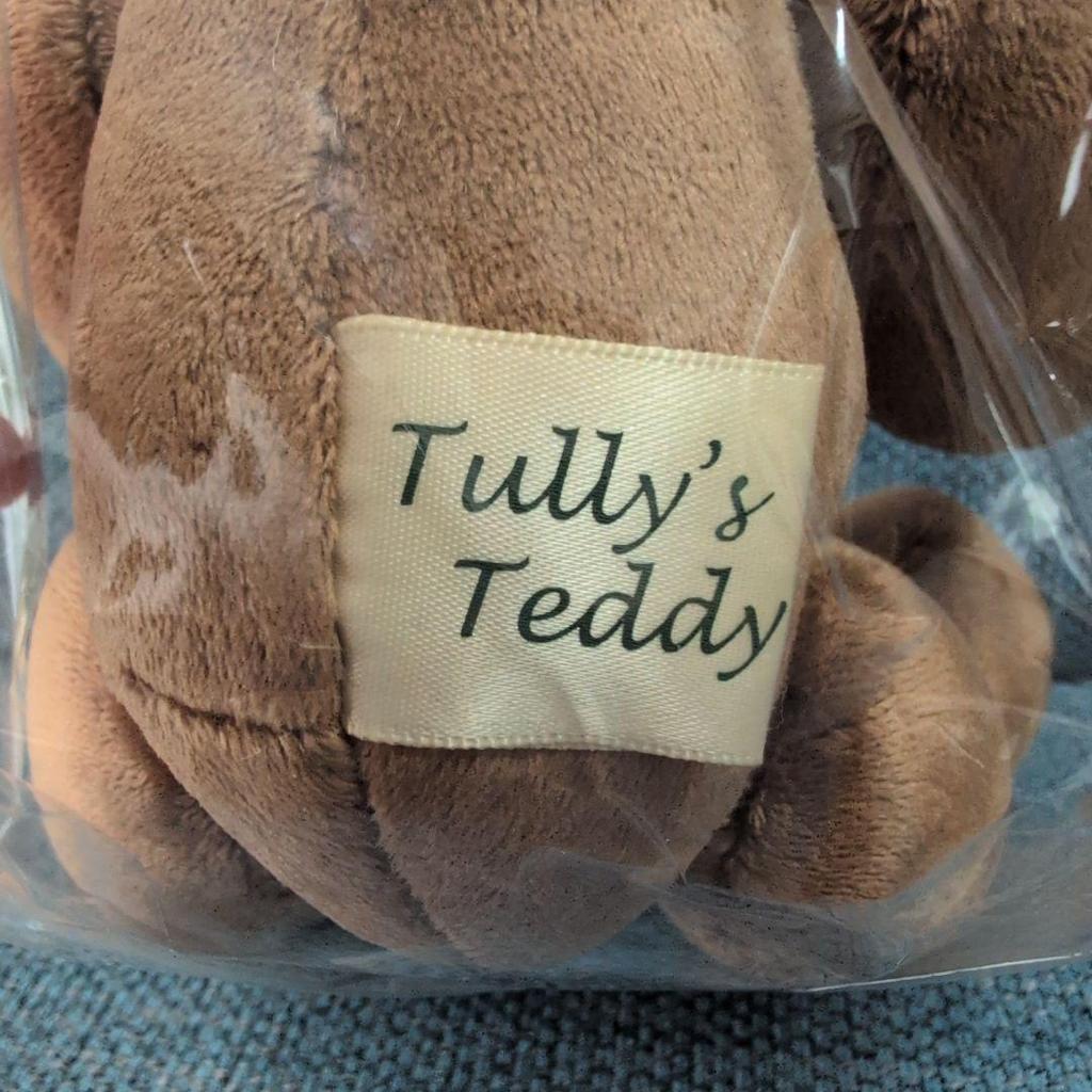 [USED] TULLY'S Odakyu Electric Railway Bearful Teddy Bear