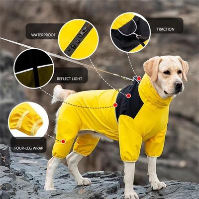 Ropa y calzado – Impermeables para perros