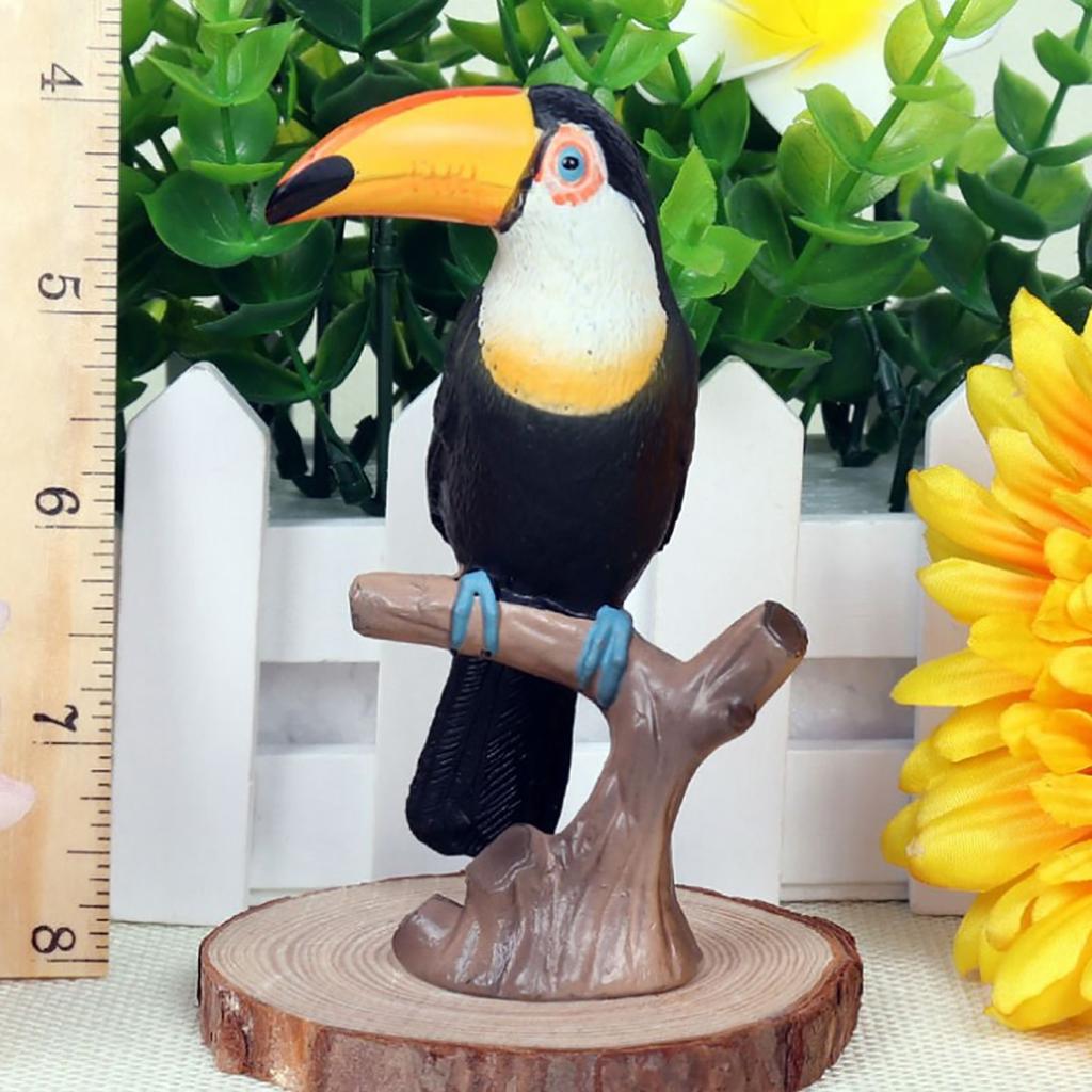 Lebensechtes Kinder Wildtier Tukan Modell Kunststoff Simulierte Spielzeug