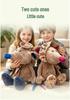 Adorable Mouse Plush Toy: Flower Cloth, Children's Hug Pillow & Soothing Doll - Perfect Birthday Gift