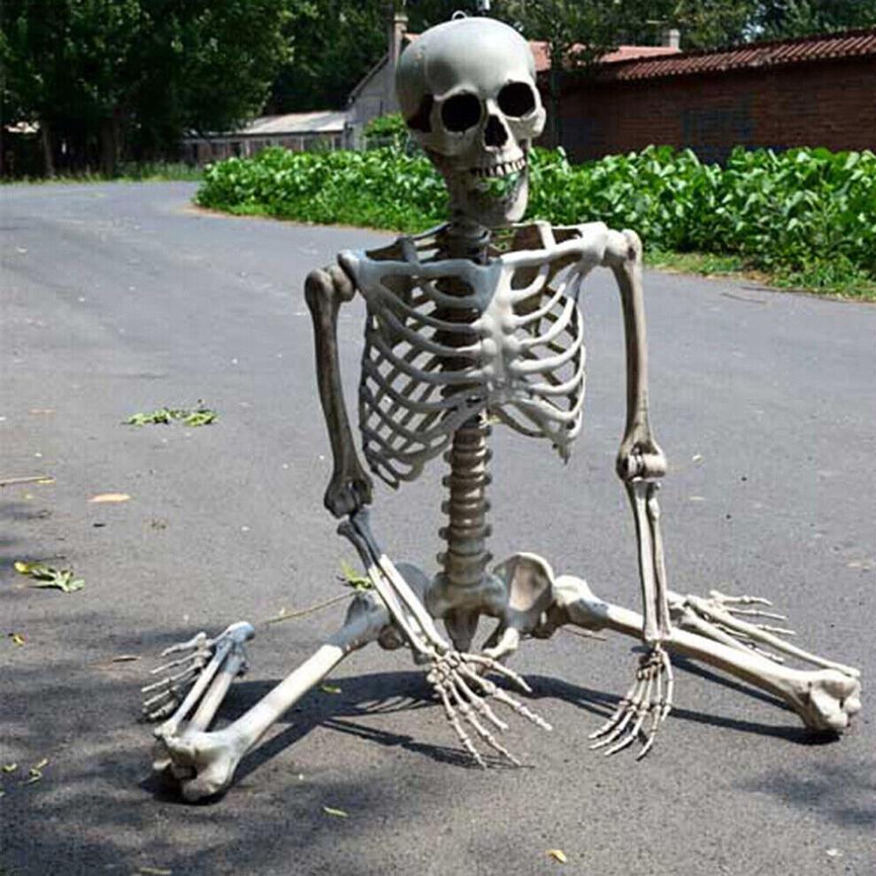 170cm Riesiges Lebensgroßes Menschliches Skelettmodell Horror Knochen Beweglich Halloween Dekoration