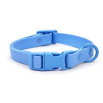 Köpek – Köpek Tasmaları ve Tasma Kayışları