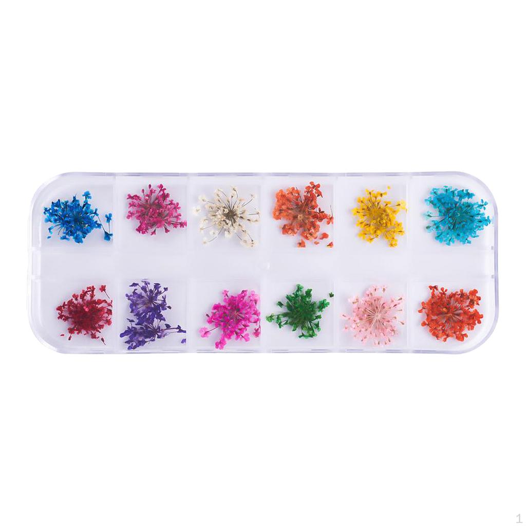 12 Dried Flowers 3D Sticker for Tips Manicure Decor
