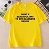 Cotton Alcoholic Beer TShirt Unisex Unisex Humor Short Sleeve TShirts Funny Round Neck Printed Tshirt Unisex Summer Drunk Tees