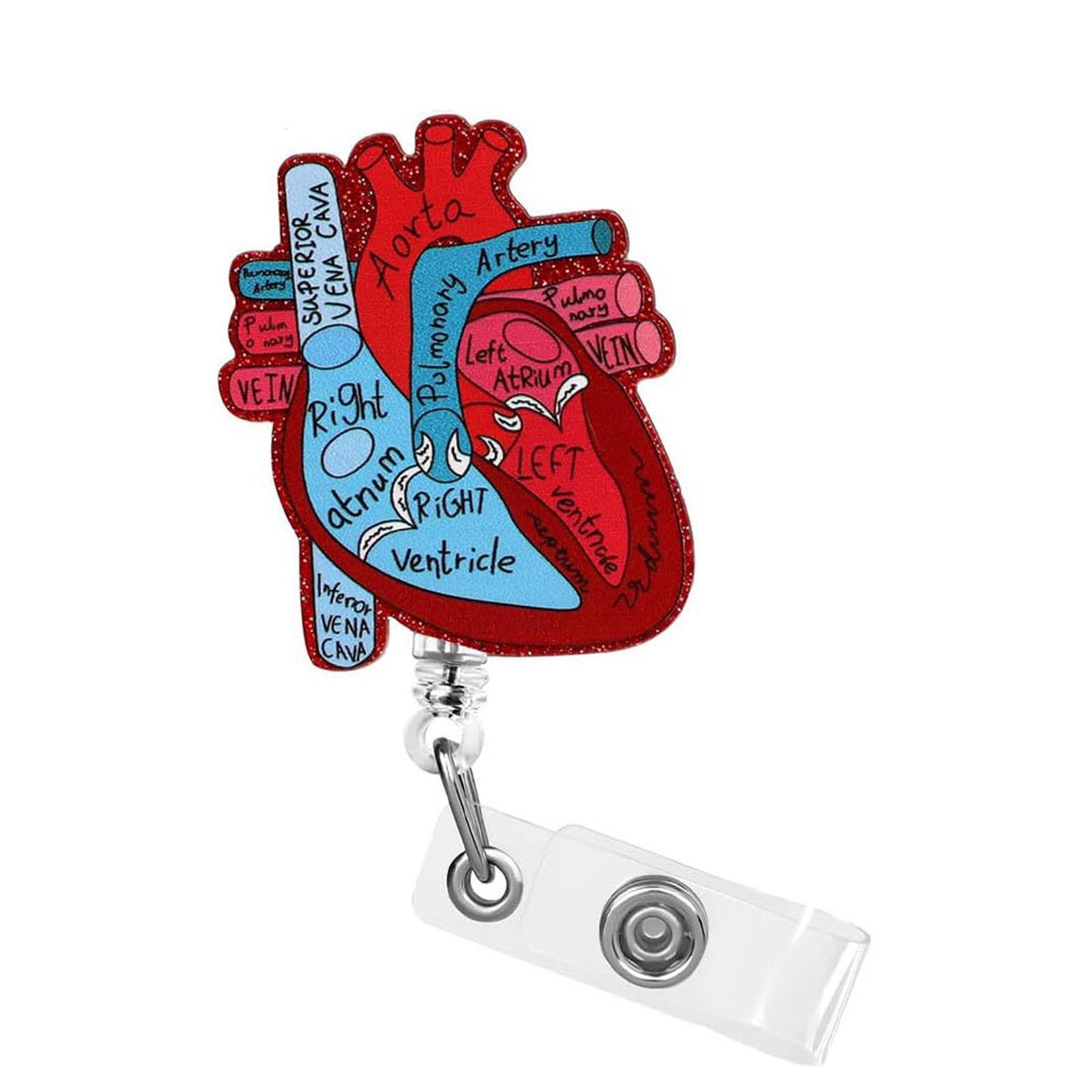 

Anatomical Heart Acrylic Retractable Badge Reel with Clip for Medical Staff Nurses Doctors Identification Card Holder one size червоний