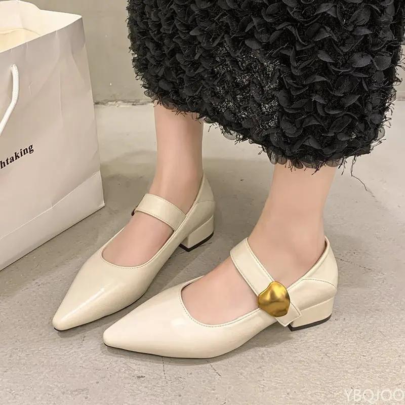 Vintage Pointed Toe Strap Follow-up Shoes for Spring 2025 New French Style Mary Jane Small Leather with Soft Sole Le Fu Shoes