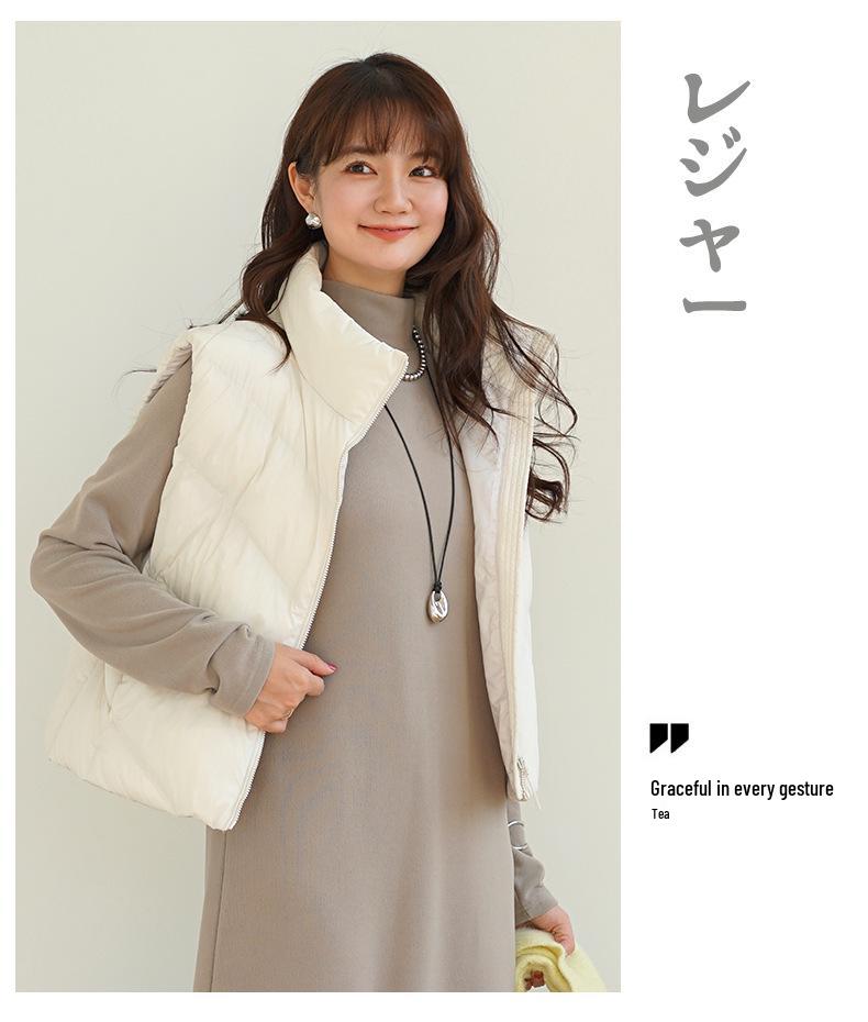 Autumn/Winter Brushed Half-High Collar Long Sleeve Slimming Dress