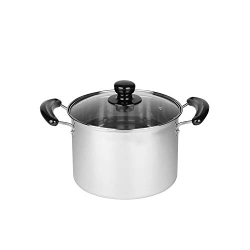 Pearl Metal NEW Danran Stainless Steel Pot with Glass Lid, 22cm, H-5872, IH Compatible, Silver