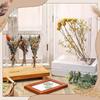 Schattenbox DIY Tischaufstellerrahmen Klare Erinnerungsbox für Trockenblumen
