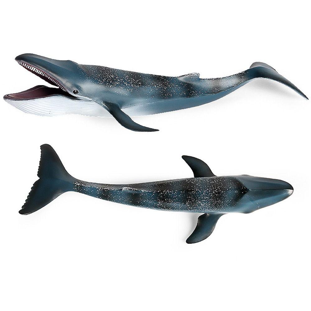Wild Big Shark Fish Model Large Whale Desktop Ornament Ocean Animal Statue  Educational Kids Toy