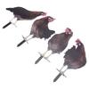 4 Pcs Garden Hen Stakes Colorful Realistic Decorative Acrylic Easy To Install Chicken Yard Decor for