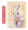 Cute Fruit Heart Rabbit Plush Pillow - Large Doll Children's Sleep Gift