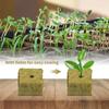 Stonewool Hydroponic Grow Media Cubes Garden Seedling Block Water Seed Sowing Germination Culture Substrate Planting Rock Plug