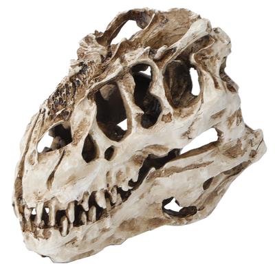 Pryskyřice Dinosauří lebka Osobnost Zvířecí kostra Ornamenty Rekvizity Halloween kolekce Řemeslná výzdoba