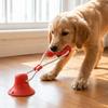 Bite Resistant Puppy Chew Toy Suction Cup Pet Molar Bite Toy Pet Interactive Toys  Pet Supplies