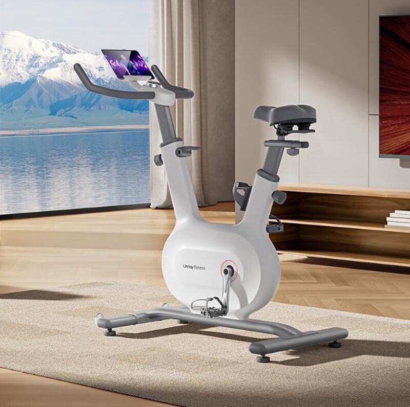 Youmei Smart Self-Generating Indoor Exercise Bike