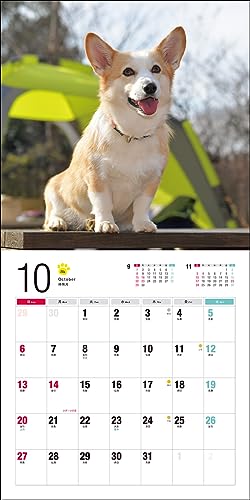 Calendar 2024 Corgi galez (Calendarul Seibundo Shinkosha)