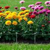 Plant Stand Rustproof Garden Plant Support Climbing Frame Durable Iron Plant Holder for Tomatoes Peonies Balcony Office Yard