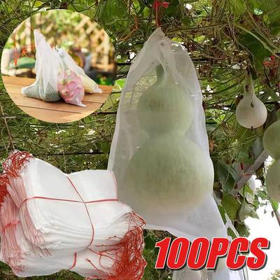 10/100Pcs Orchard Fruit Planting Protection Bag Insect and Bird Proof Fruit and Vegetable Growth Bag Garden Accessories