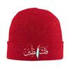 Beanie Hats  Skullies Beanies Unisex Adult Trendy Warm Soft Caps Autumn Gym Graphic Bonnet Hats