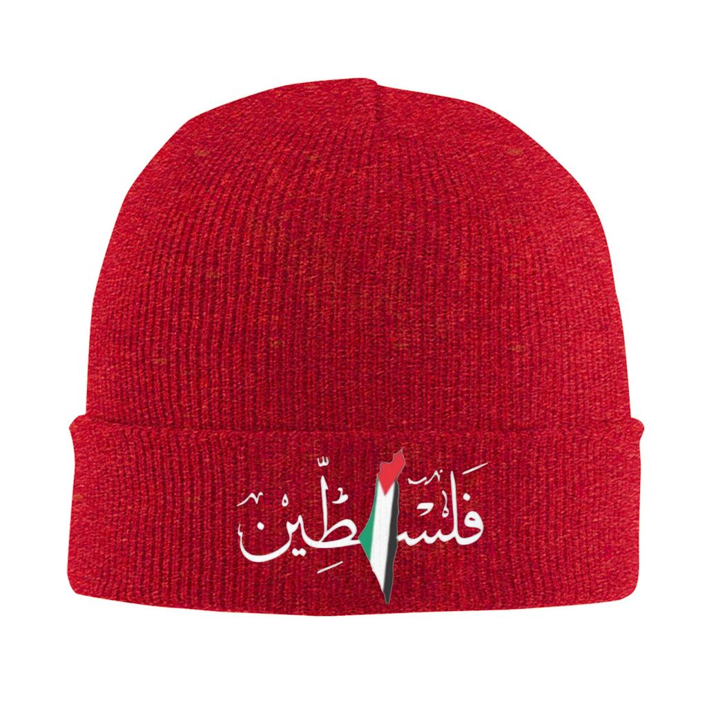 Beanie Hats Skullies Beanies Unisex Adult Trendy Warm Soft Caps Autumn Gym Graphic Bonnet Hats