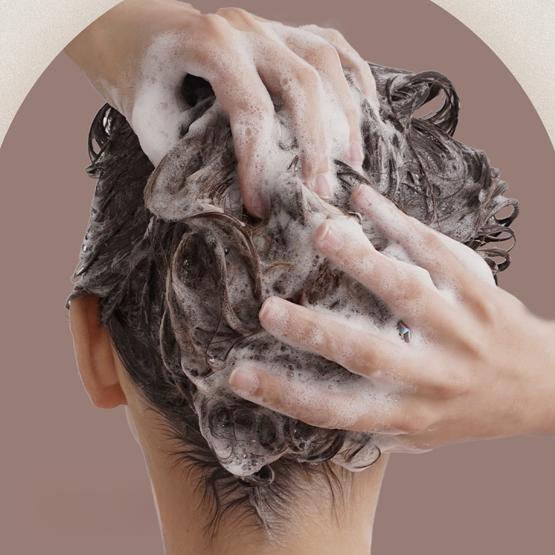 Healing Bird Beer-PDRN Scalp Shampoo 1000ml