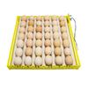 Automatic Eggs Incubator 360° Rotary Egg Turner Roller Tray Egg Hatching Incubator Duck Quail Bird Poultry Accessory for Farm