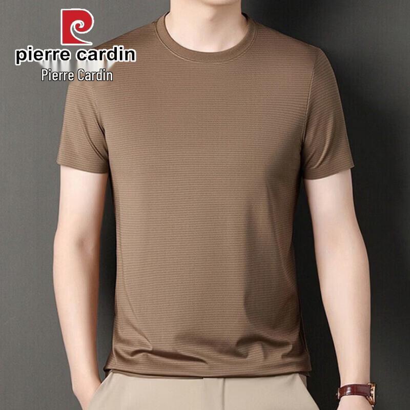 Pierre Cardin Men's Ice Silk Crew Neck Short Sleeve T-shirt
