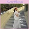 Elegant Long Dress With V Neckline And Ruffled Pleats For Spring