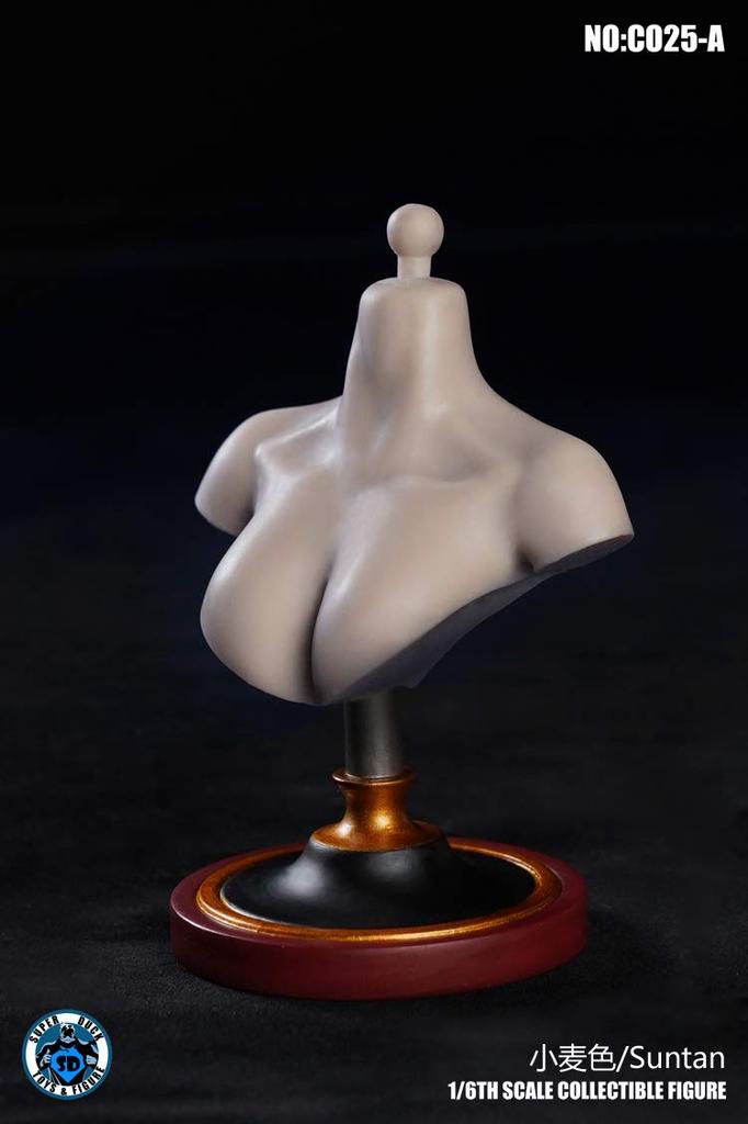 SUPER DUCK C025A Female Bust Base for Scale Action Figures not [TOYBARJAPAN] 1/6 (Head included)