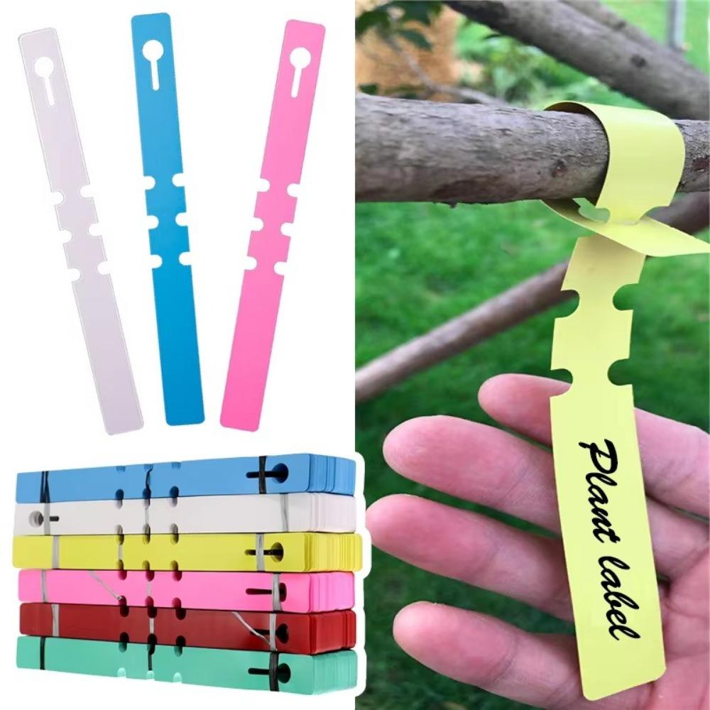 100pcs Reusable Garden Plant Tag Plastic Vegetables Labels New Ring Buckle Sign Markers Tool