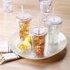 16oz Double Layer Transparent Plastic Water Cup Portable Double Layer Straw Cup