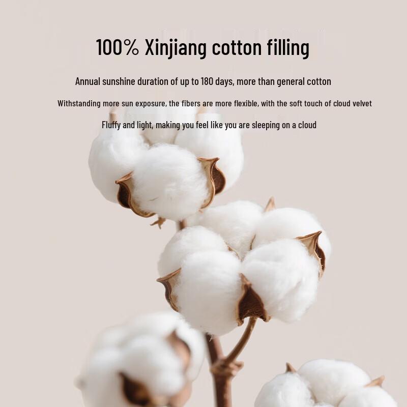 Heilan Home Antibacterial Xinjiang Cotton Quilt
