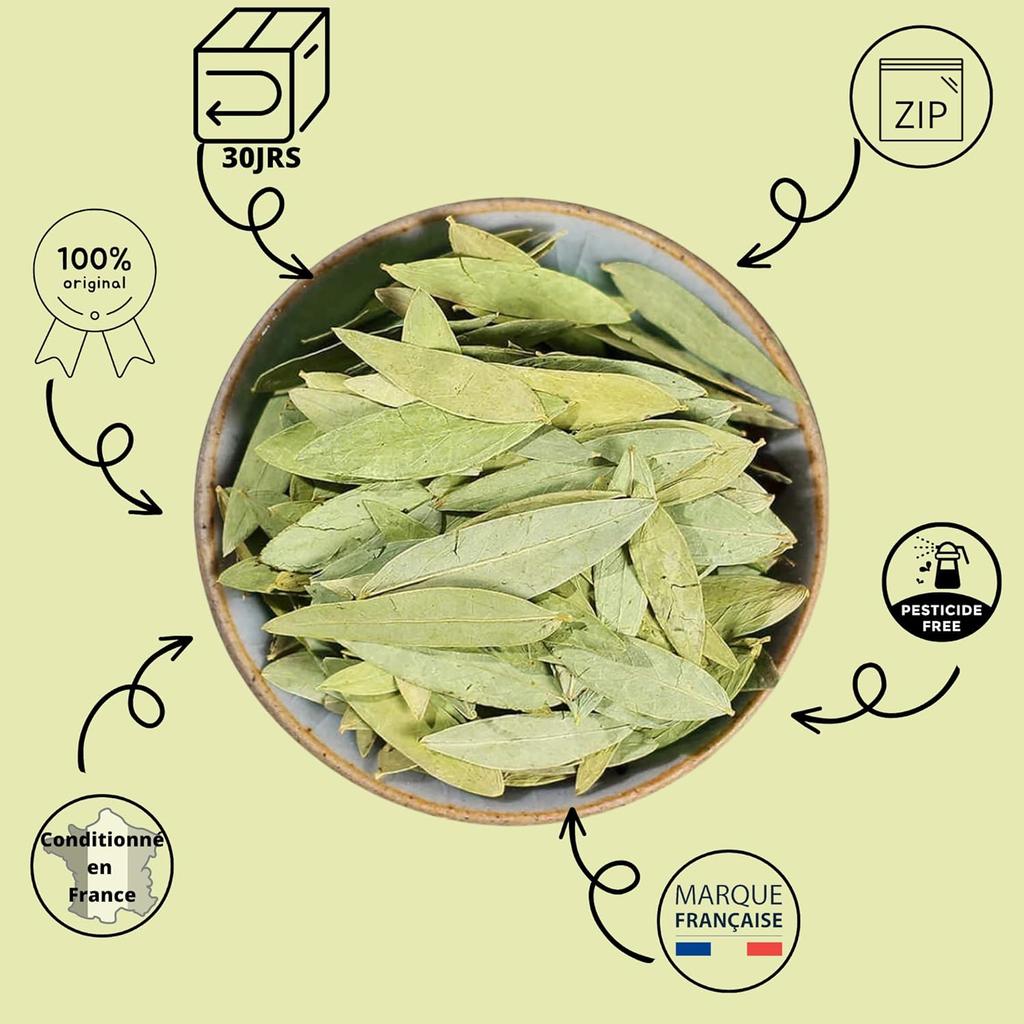 Senna Makki Leaves 50g Whole – Natural Herbal Laxative & Colon Cleanse – Supports Healthy Digestion and Bowel Movement – Detox Herbal Tea