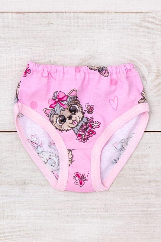 Underwear – Girls' Classic Printed Briefs, Comfortable Fit, Any Season 272-002V HC