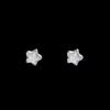 Bright Star~ Star Zircon Silver Needle Earrings Women's Fashion Temperament Cold Sense Earrings New Earrings