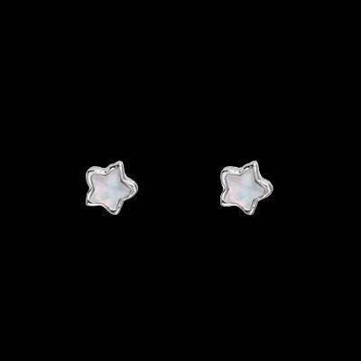 Bright Star~ Star Zircon Silver Needle Earrings Women's Fashion Temperament Cold Sense Earrings New Earrings