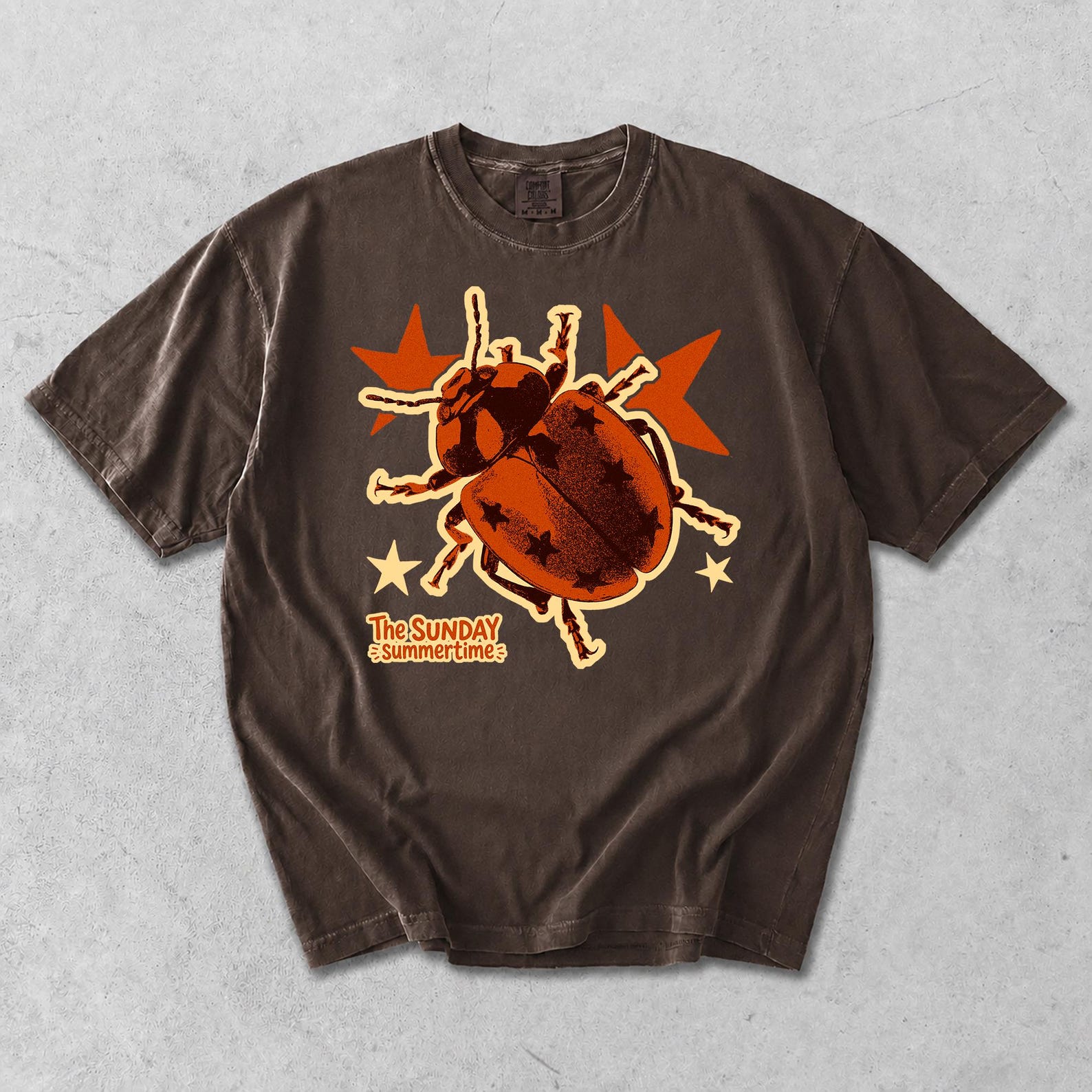 Vintage Beetle Bug Graphic Tee, Retro 70s Star Insect T-Shirt, Nature Lover Gift S