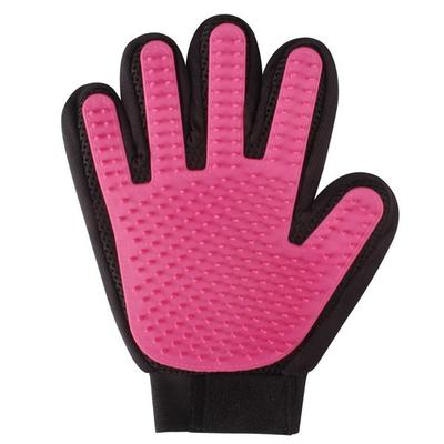 Babion Cat Hair Removal Dual Touch V2 Brush Glove, Korean Pet Shampoo