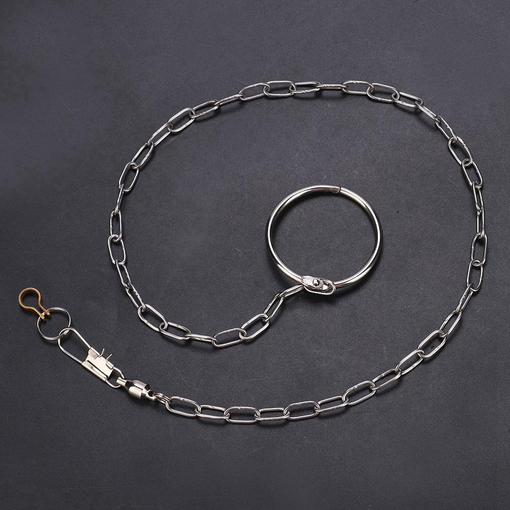 Stainless Steel Pet Birds Parrot Foot Chain Anklet Training Harness   (Psittacula eupatria)