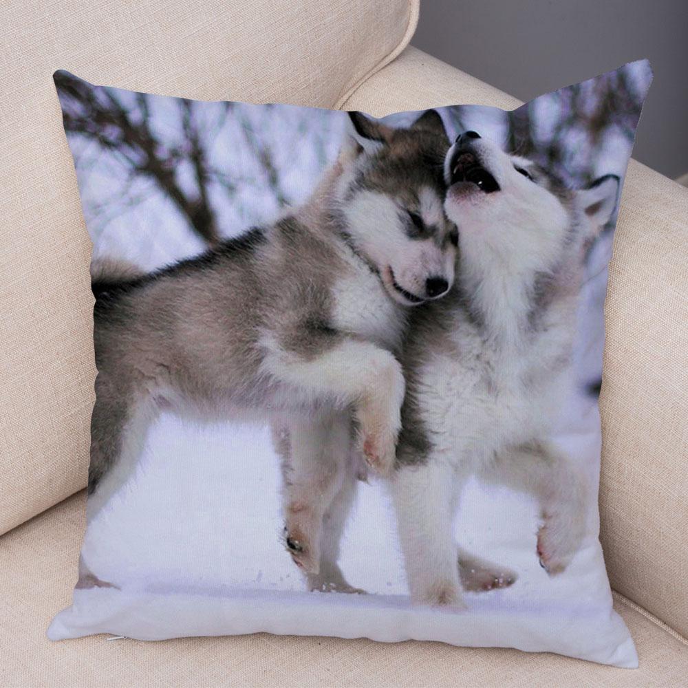 Decor Cute Siberian Husky Pillowcase Pet Dog Printed Super Soft Short Plush Pillow Case 45*45cm Animal Cushion Cover for Sofa