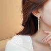 Light luxury zircon knot ear clips without ear piercings Exaggerated long fringed earrings High-end fashion temperament Mosquito coil ears