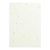 Kawasumi Washi OA Washi Flower B5 100 Sheets Calendar, Cream, Size,
