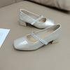 French Temperament Rhinestone Mary Jane Single Shoes Girl 2025 Summer Square Head Retro Thick Heel Elegant Fairy Style with Skirt