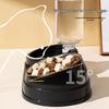 Automatic Double Bowl Pet Feeder: Slanted Stainless Steel Bowl for Cats & Dogs