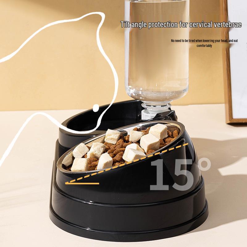 Automatic Double Bowl Pet Feeder: Slanted Stainless Steel Bowl for Cats & Dogs