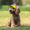 Dog Hat Outdoor Activity Sun Protective Hat for Bichons Adjust Rope Dogs Hat