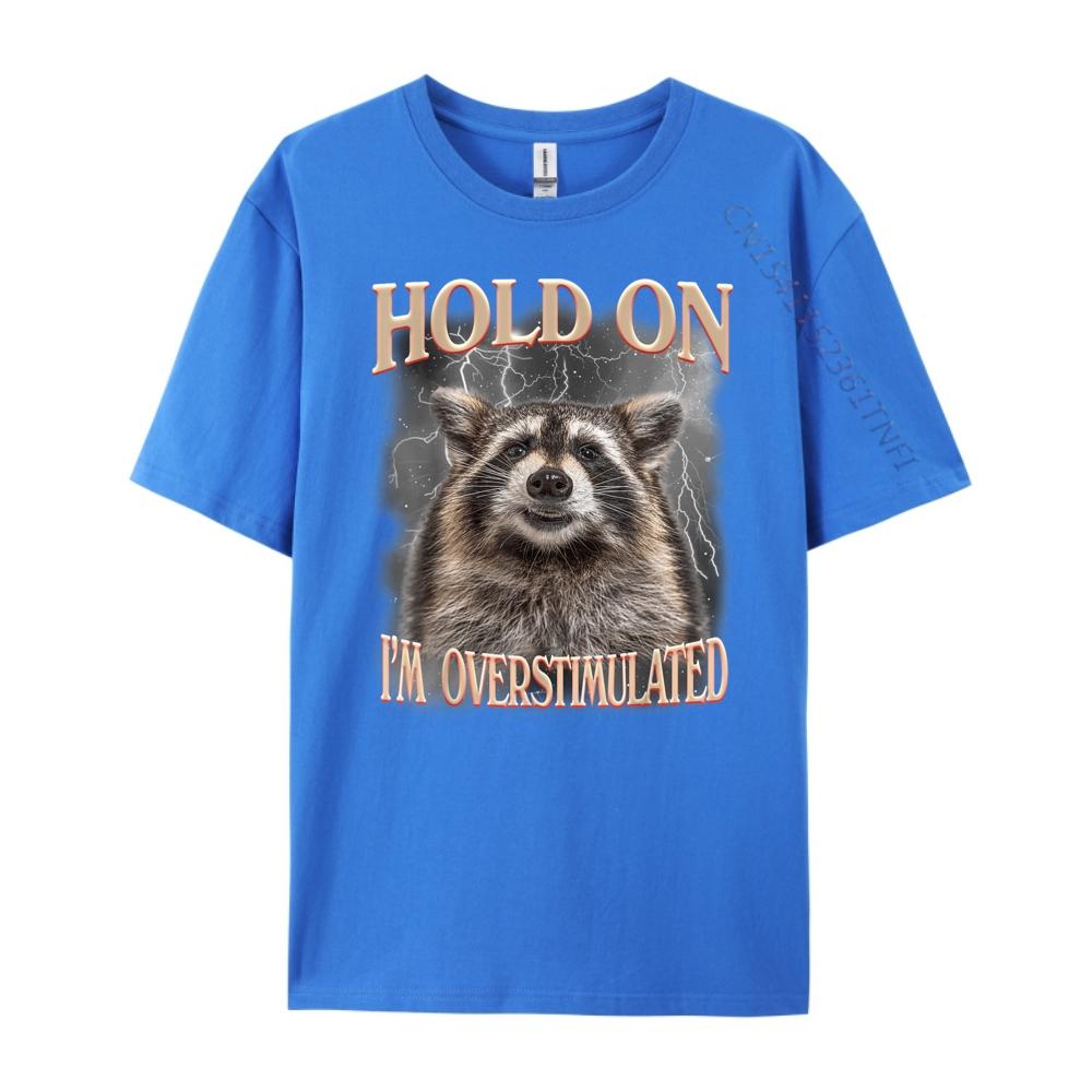 Hold On Im Overstimulated Raccoon Funny Men Women Streetwear Men Fall T Shirts For Men