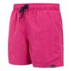 Regatta Mens Mawson II Swim Shorts