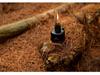 Twelve-Sided Outdoor Camping Gas Canister for Lighting & Atmosphere